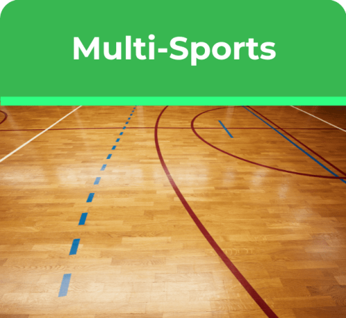 Website tabs (2) inclusive multi-sport
